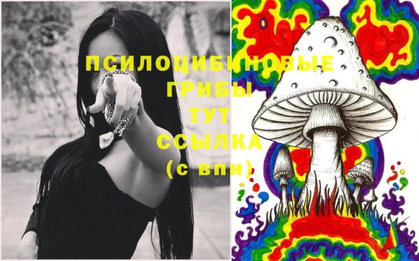 кокс Алексеевка